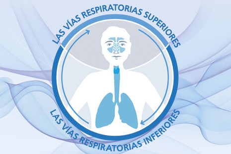 Vias superiores e inferiores